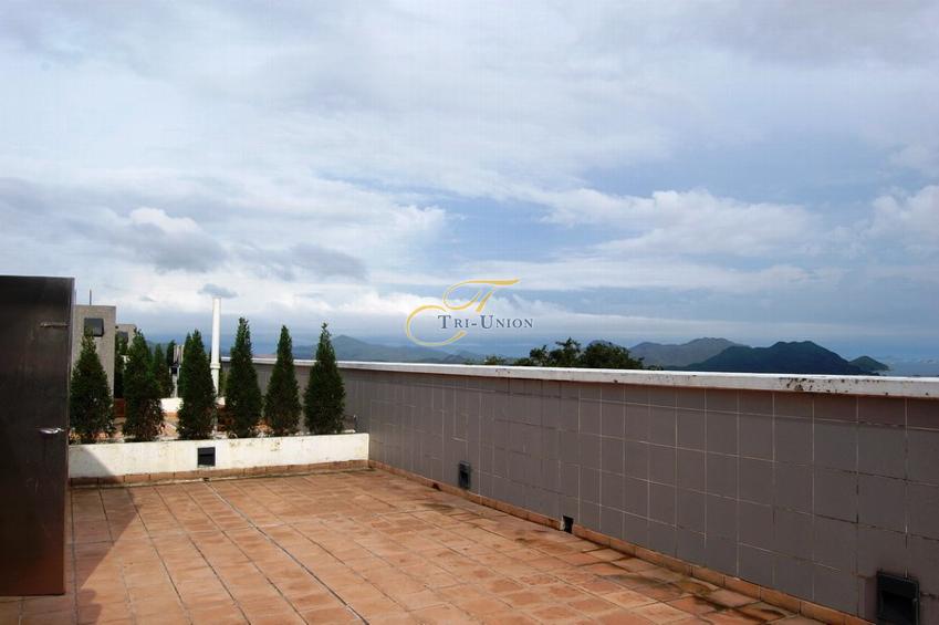 The roof