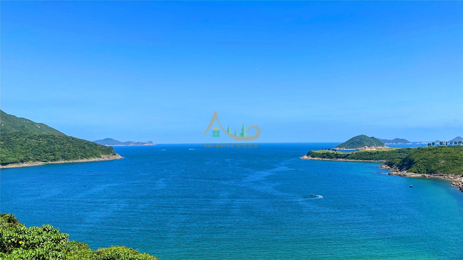 View